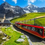 swiss